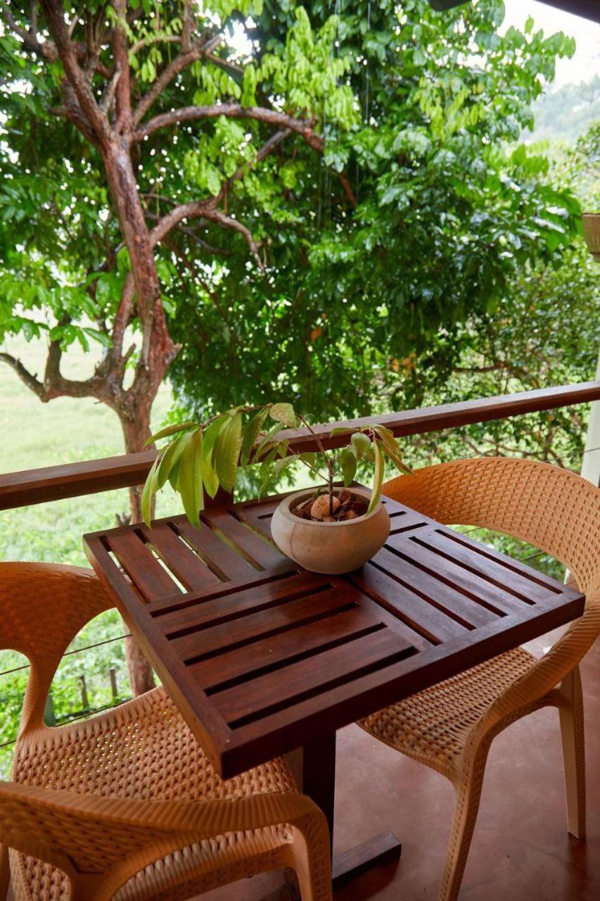 Green View Homestay 갈레 외부 사진